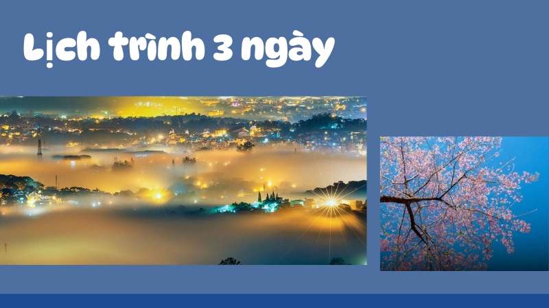 Lịch trình tham quan đà lạt 3 ngày 2 đêm tự túc