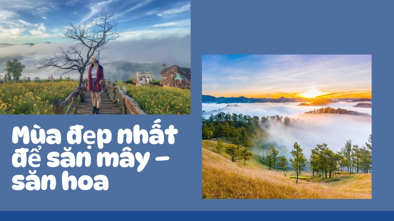 Kinh nghiệm săn mây đà lạt vào sáng sớm