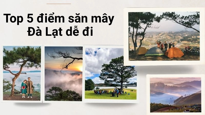 Top 5 điểm săn mây Đà Lạt dễ đi mà đẹp “ảo diệu” nhất 