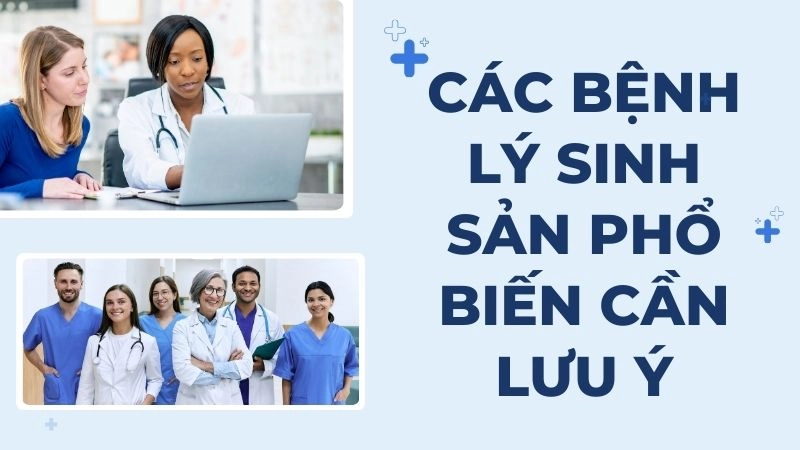 Các bệnh lý sinh sản phổ biến cần lưu ý