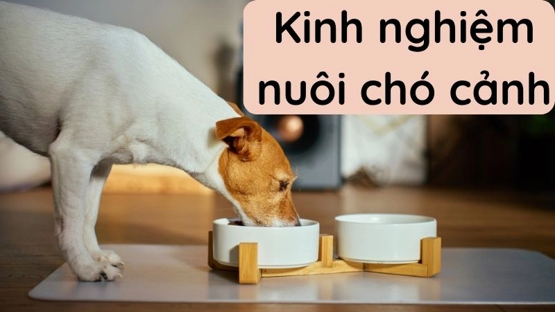 Chế độ dinh dưỡng khoa học giúp tăng đề kháng