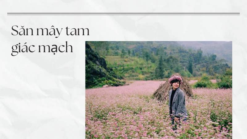 Kinh nghiệm săn mây và hoa tam giác mạch