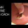 Review kinh nghiệm chăm trẻ sơ sinh nhàn tênh cho mẹ bỉm