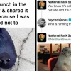 Animal Memes: Khám Phá Thế Giới Meme Động Vật Hài Hước Nhất 2026
