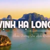 Bỏ túi kinh nghiệm du lịch Hạ Long trọn vẹn từ A-Z cho năm 2026