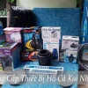 Cẩm nang lựa chọn thiết bị hồ cá chuyên sâu cho bể biển và hồ Koi
