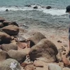 Khám phá vẻ đẹp hoang sơ của bãi Đông Thanh Hóa
