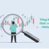 Tìm hiểu chứng khoán cơ bản: Hướng dẫn toàn diện cho nhà đầu tư mới