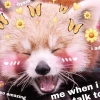 Tổng hợp 999+ Meme Tình Yêu Dễ Thương Nhất 2026