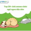 Tuyển Tập Meme Chúc Ngủ Ngon Hài Hước và Dễ Thương Nhất 2026