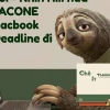Top 99 hình nền meme chủ đề công việc siêu lầy lội cho dân văn phòng 2026