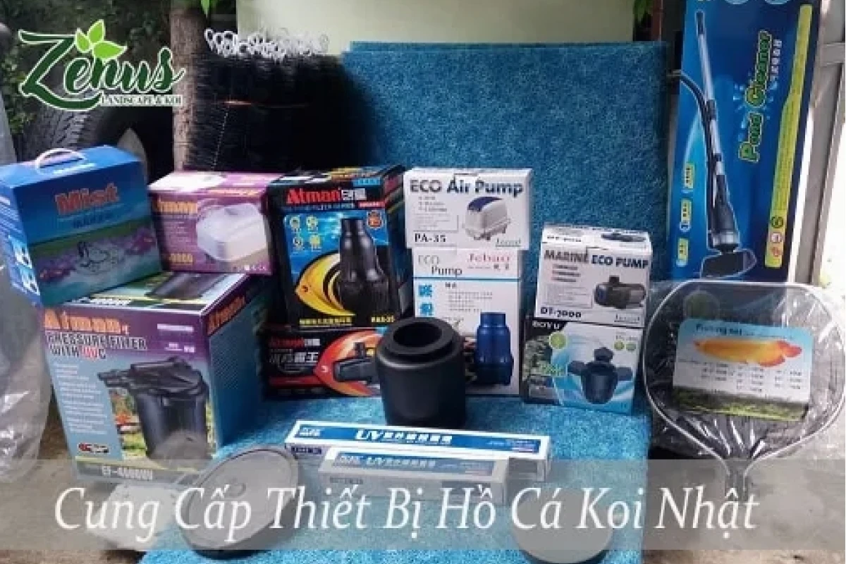 Cẩm nang lựa chọn thiết bị hồ cá chuyên sâu cho bể biển và hồ Koi