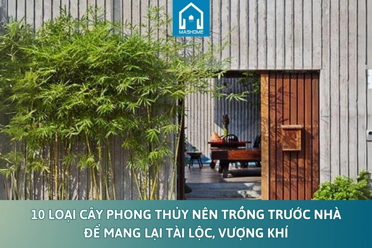 Chọn Cây Phong Thủy Trước Nhà Theo Tuổi Mang Lại Tài Lộc Vượng Khí