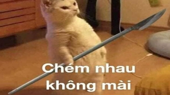 300+ Ảnh Meme Đánh Người: Biểu cảm hài hước cho mọi tình huống