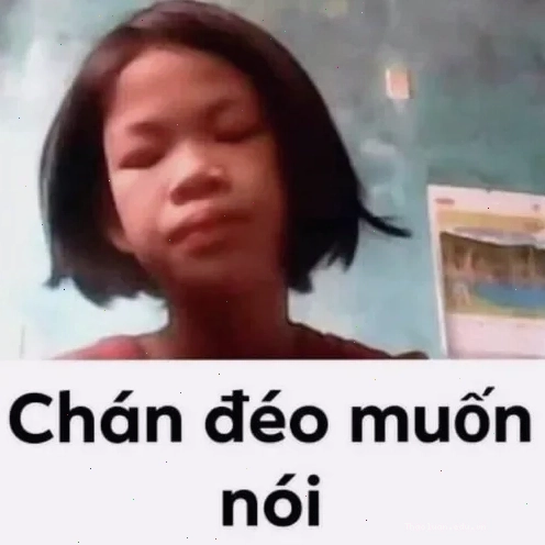 Ảnh meme chán chường không muốn nói làm dân văn phòng gật gù thể hiện sự mệt mỏi