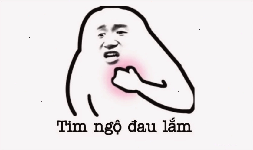 Ảnh meme hài hước về mèo