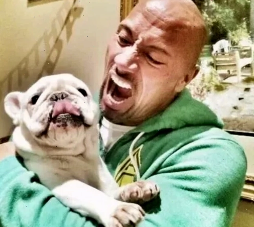 Ảnh the rock meme thể hiện sự tự tin