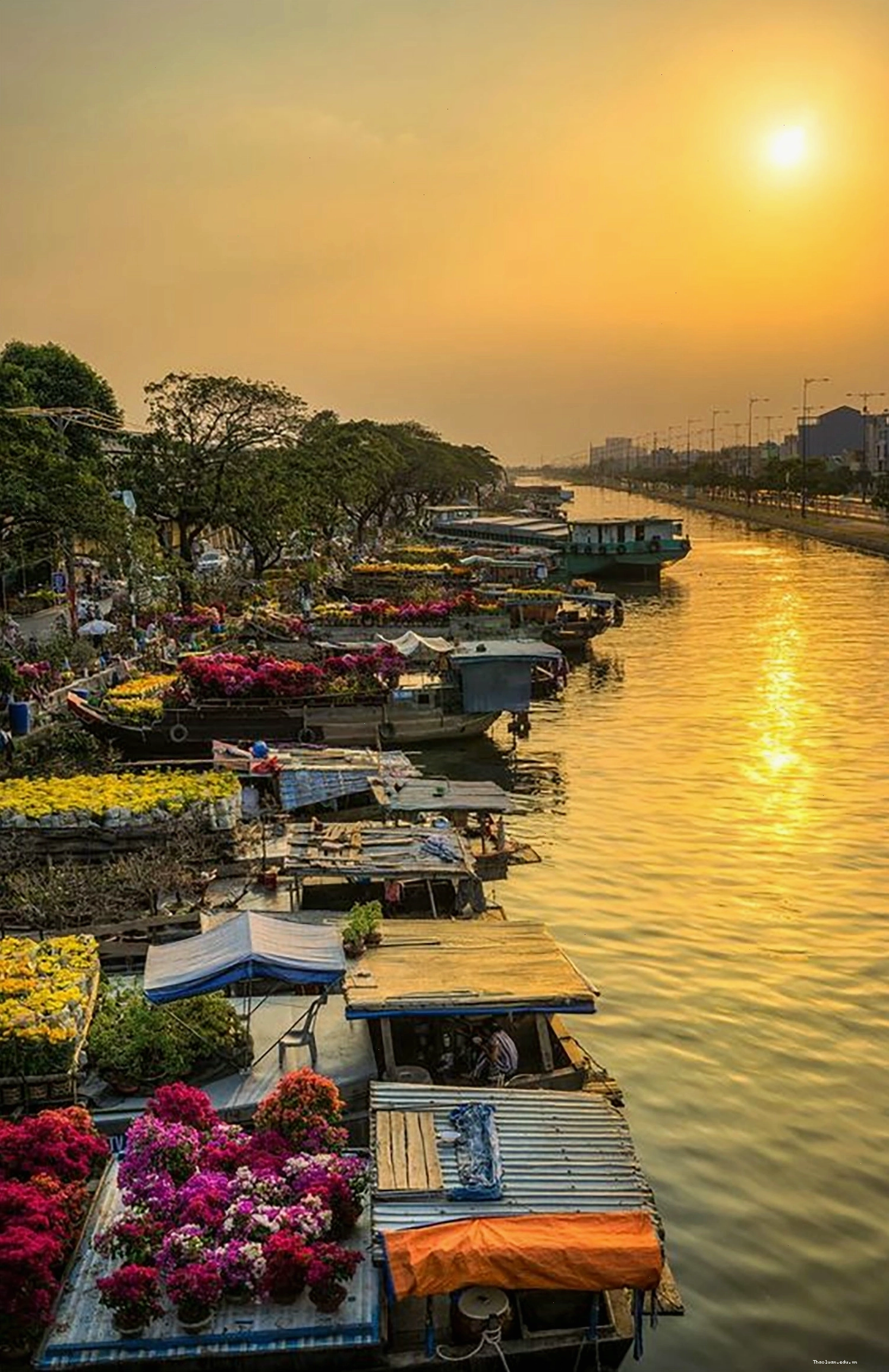 Avatar bầu trời màu pastel với đám mây hình trái tim