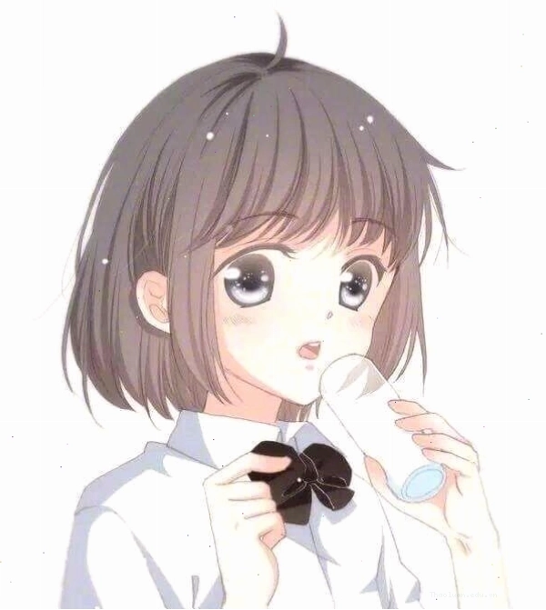 Avatar đôi anime art