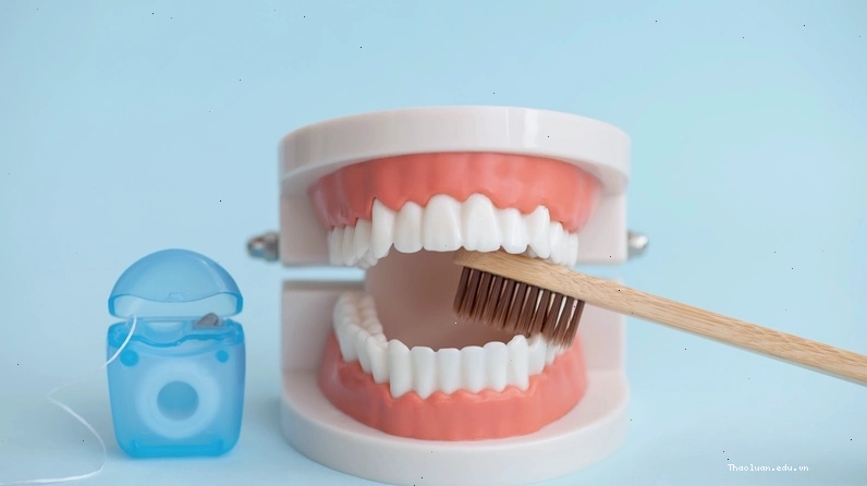 Bàn chải đánh răng và kem đánh răng