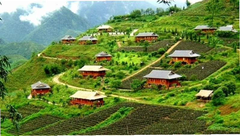 Bản Tả Phìn Sapa