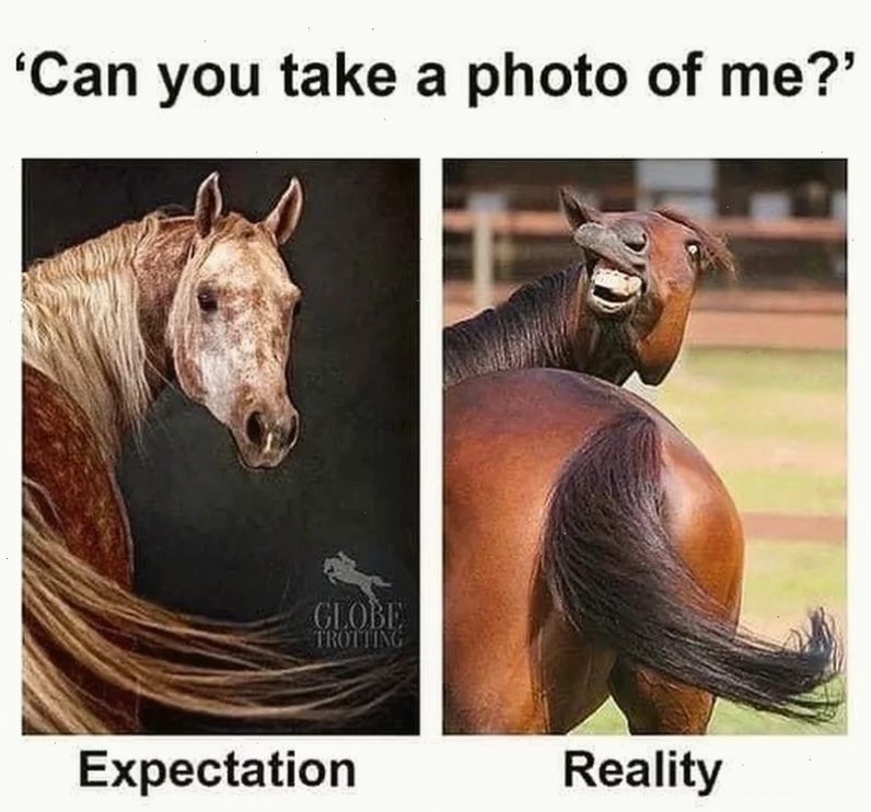Biểu cảm horse meme side eye đầy châm biếm
