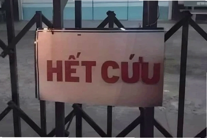 Biểu cảm meme hết cứu hài hước