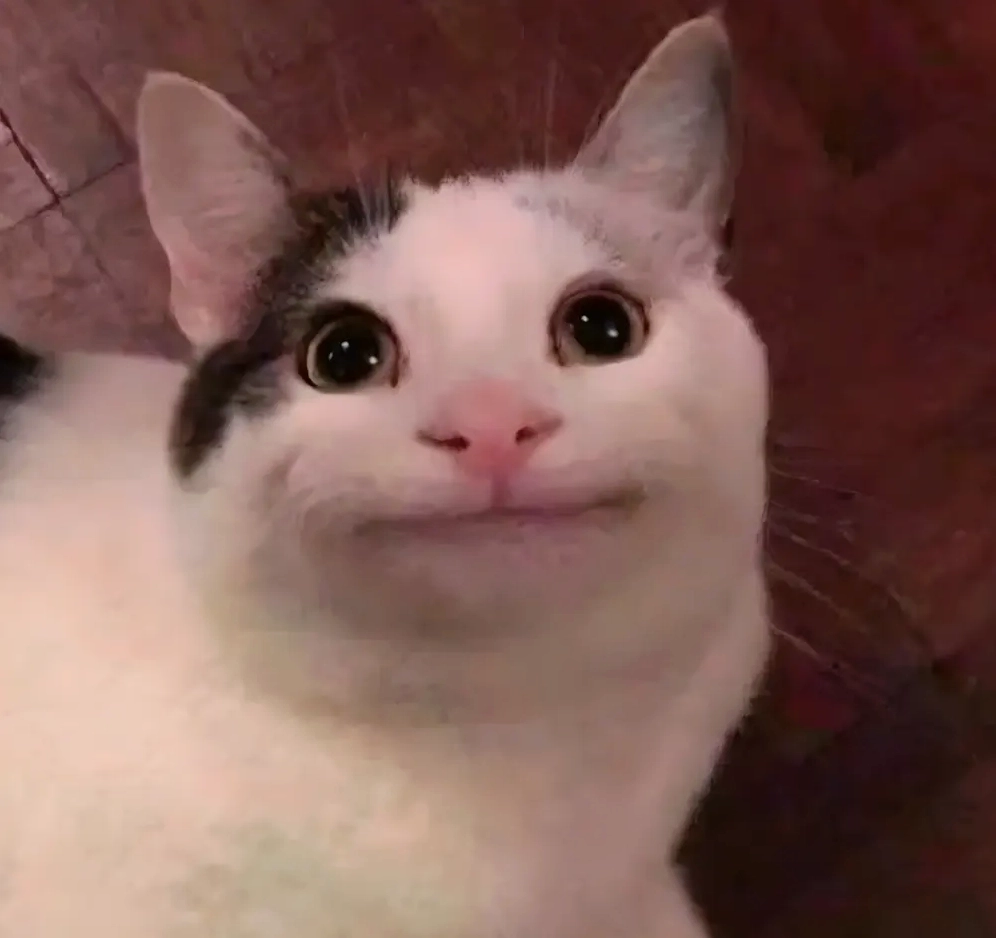 BST Avatar Meme Mèo Bựa Hài Hước, Biểu Cảm 'Khó Đỡ'
