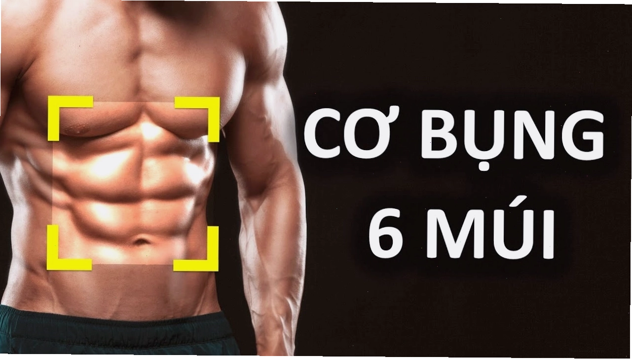 Bụng 6 múi biểu tượng của sức khỏe và sự cải thiện thể chất