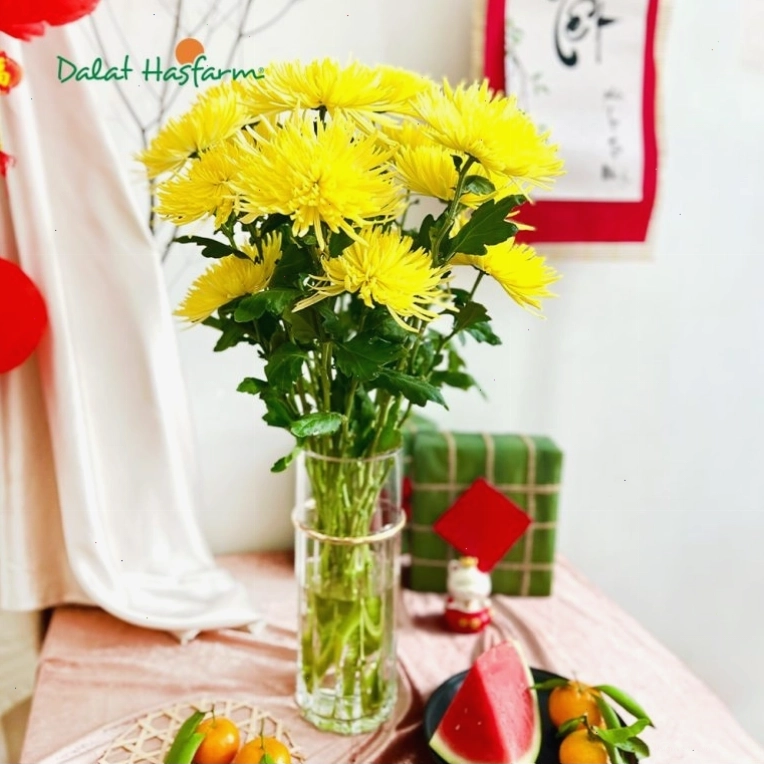 Các loại hoa cúc vàng đa dạng về hình dáng và kích thước
