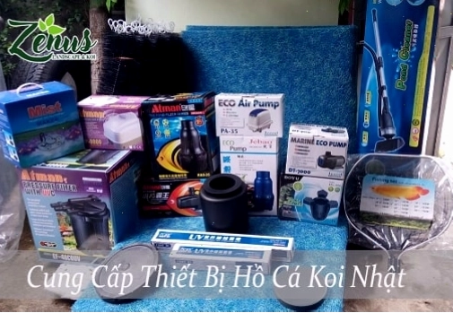 Các loại thiết bị hồ cá cơ bản cho người mới bắt đầu