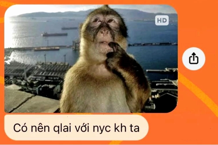 Cách mọi người sử dụng meme con khỉ trong giao tiếp
