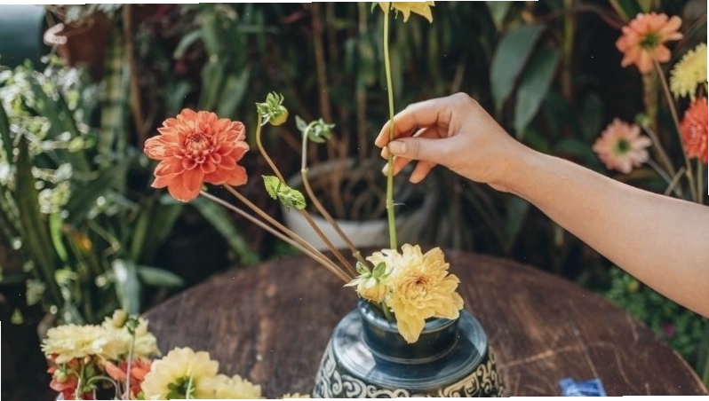 Cắm hoa thược dược đẹp và tinh tế