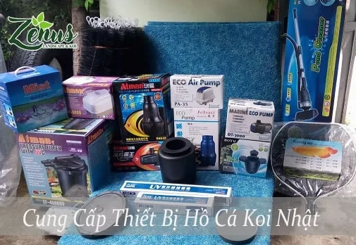 Cẩm nang lựa chọn thiết bị hồ cá chuyên sâu cho bể biển và hồ Koi