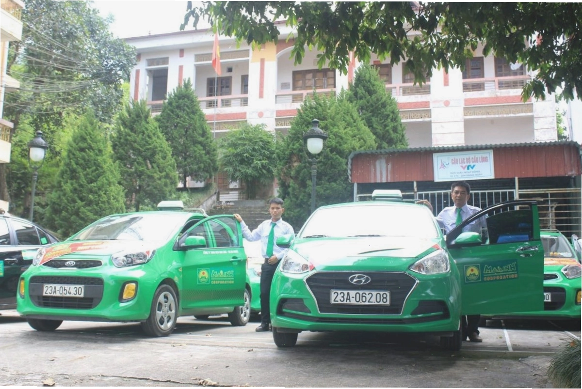 Cánh đồng hoa tam giác mạch tại Hà Giang