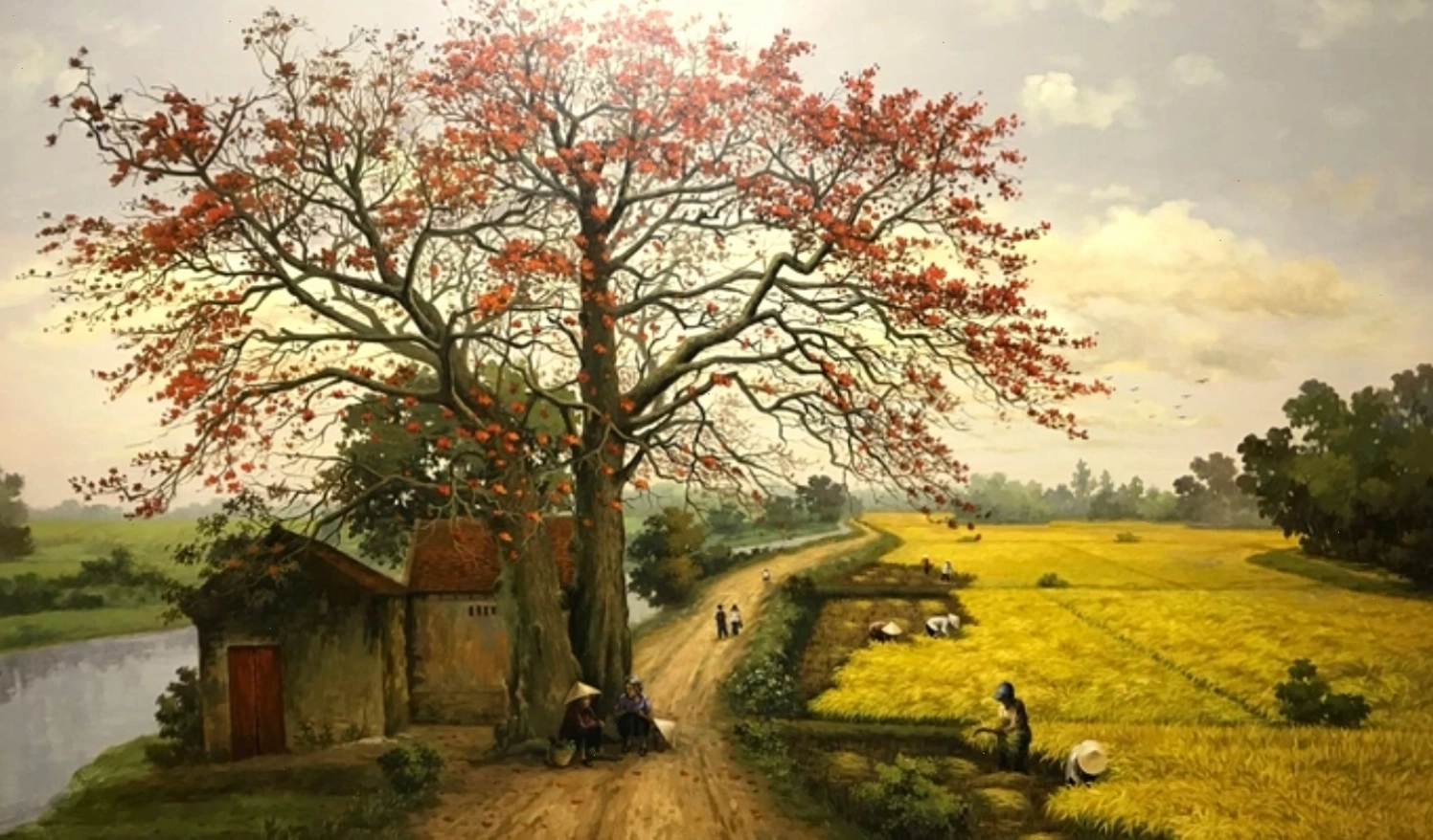 Cánh đồng lúa chín vàng rực rỡ dưới ánh nắng