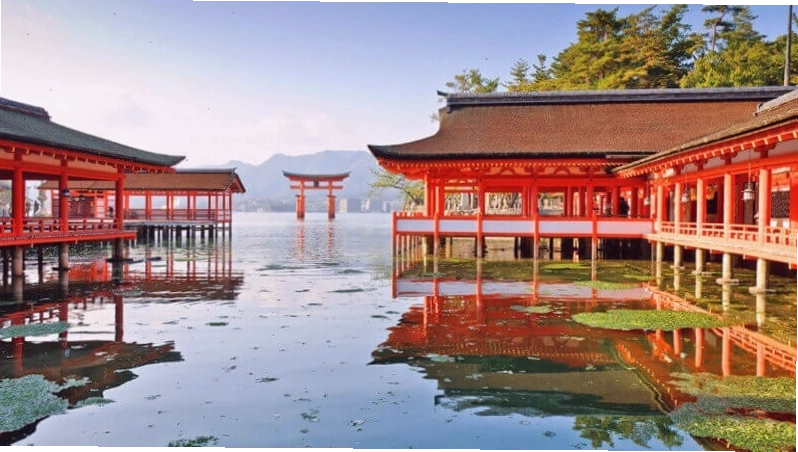 Cảnh quan đô thị hiện đại của Nhật Bản