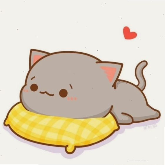 Cập nhật avatar đôi mèo cute không thể bỏ qua
