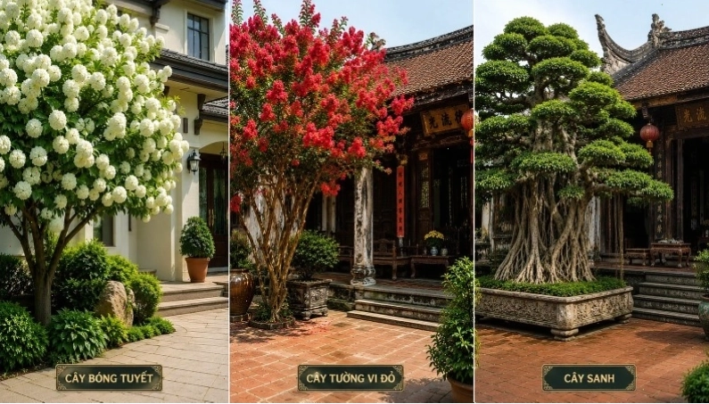 Cây cảnh được người xưa coi trọng