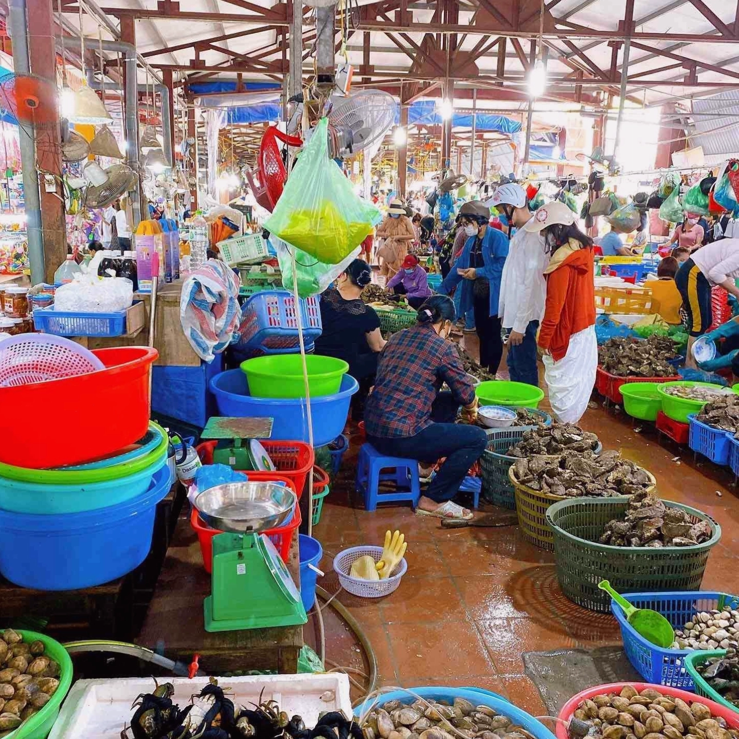 Chợ Cát Bà hải sản
