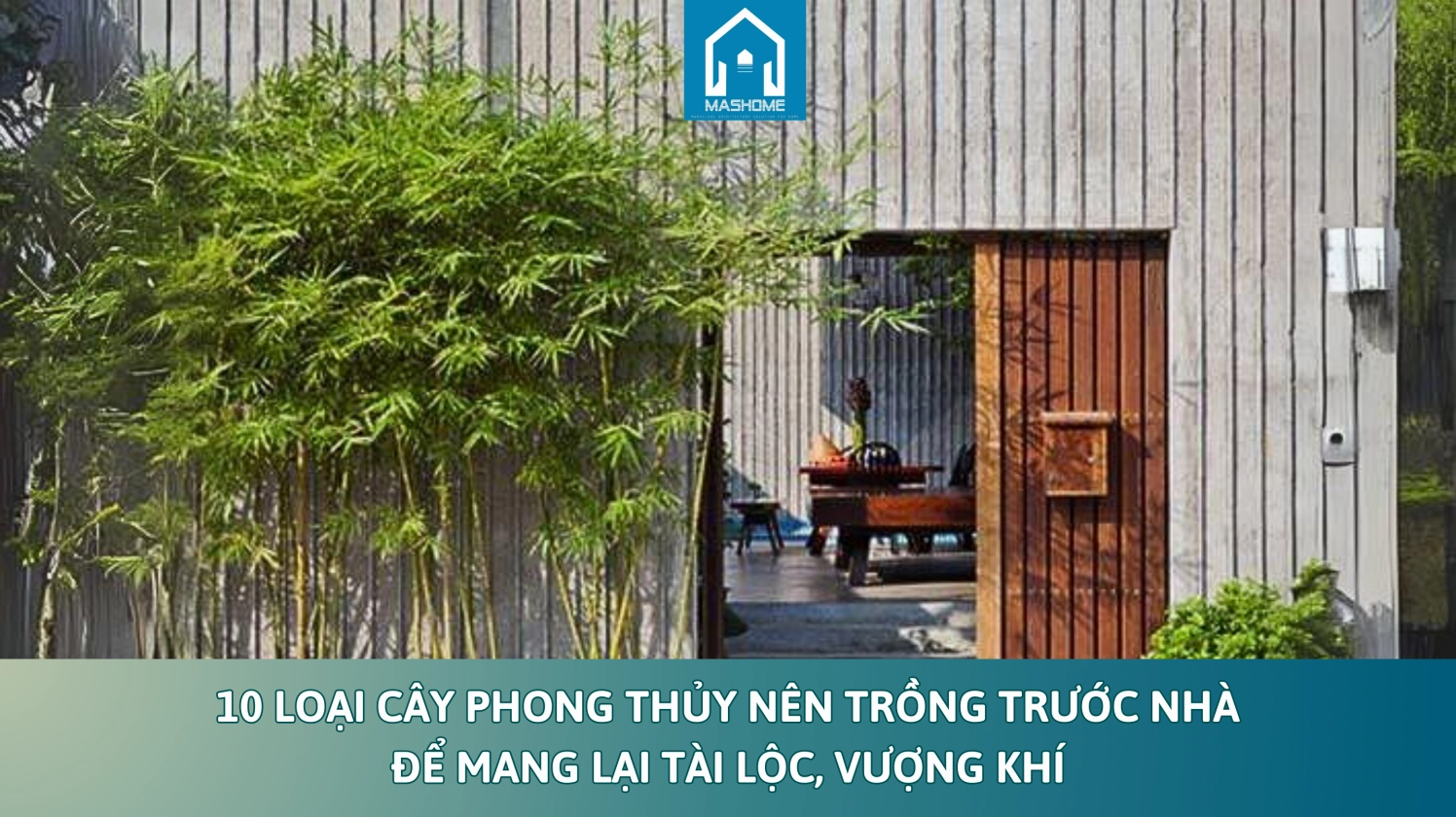 Chọn Cây Phong Thủy Trước Nhà Theo Tuổi Mang Lại Tài Lộc Vượng Khí