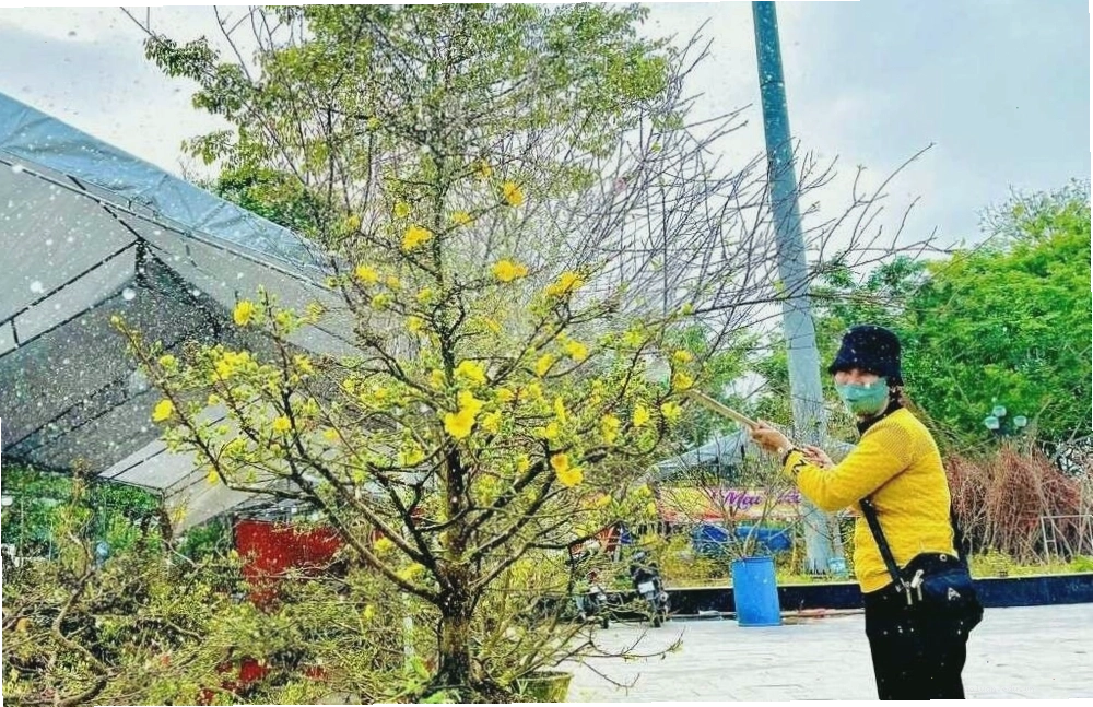Chú ý lượng nước tưới để đảm bảo cây luôn tươi tốt