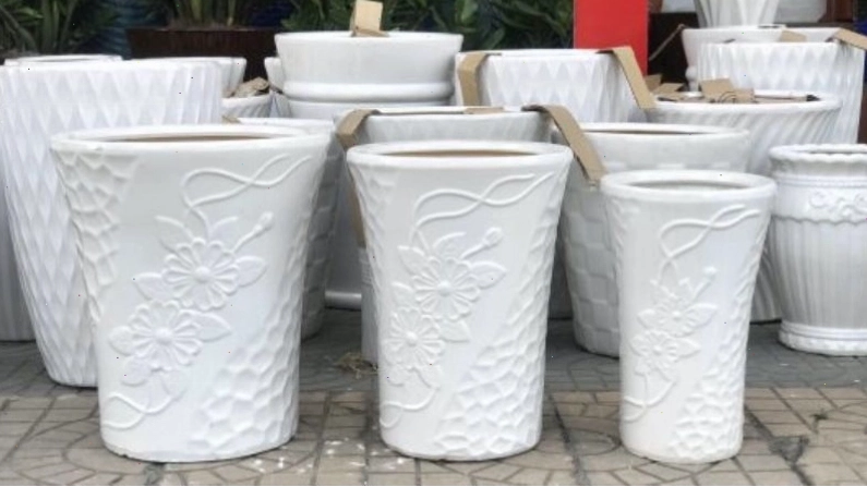 Chuẩn bị chậu phù hợp cho cây hoa hồng