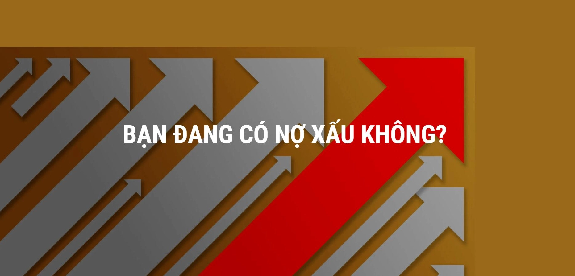 CIC Đăng Nhập: Hướng Dẫn Chi Tiết và Lưu Ý Quan Trọng Năm 2026