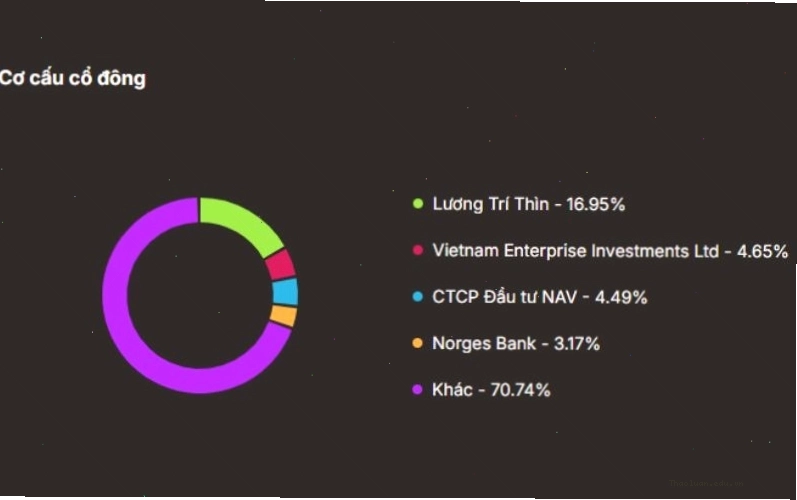 Cơ cấu cổ đông của Tập đoàn Đất Xanh (DXG)