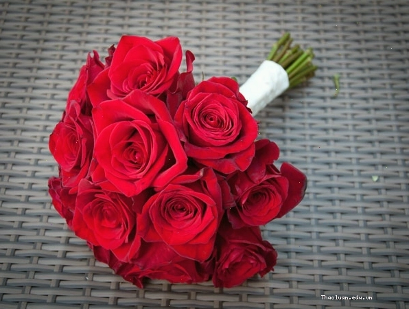 Cô dâu cầm bó hoa hồng đỏ rực rỡ