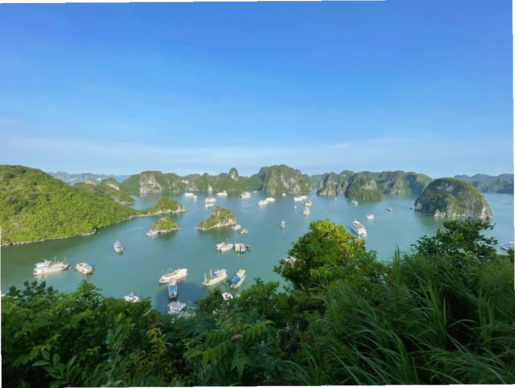 Đảo Ti Tốp nhìn từ trên cao, một điểm đến hấp dẫn tại Vịnh Hạ Long