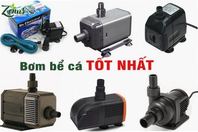 Dòng máy bơm hiệu năng cao dành cho bể cá cảnh chuyên nghiệp