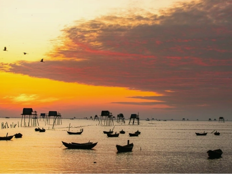 Du khách tận hưởng không khí trong lành tại biển Thái Bình vào mùa hè