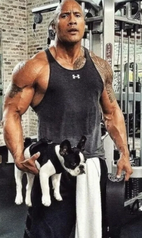 Dwayne Johnson meme với ánh mắt dò xét